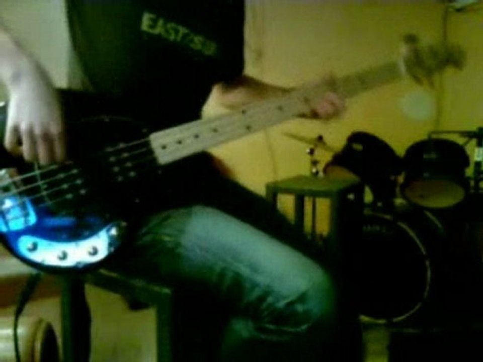 The Power of Equality - Red Hot Chili Peppers [Bass Cover]