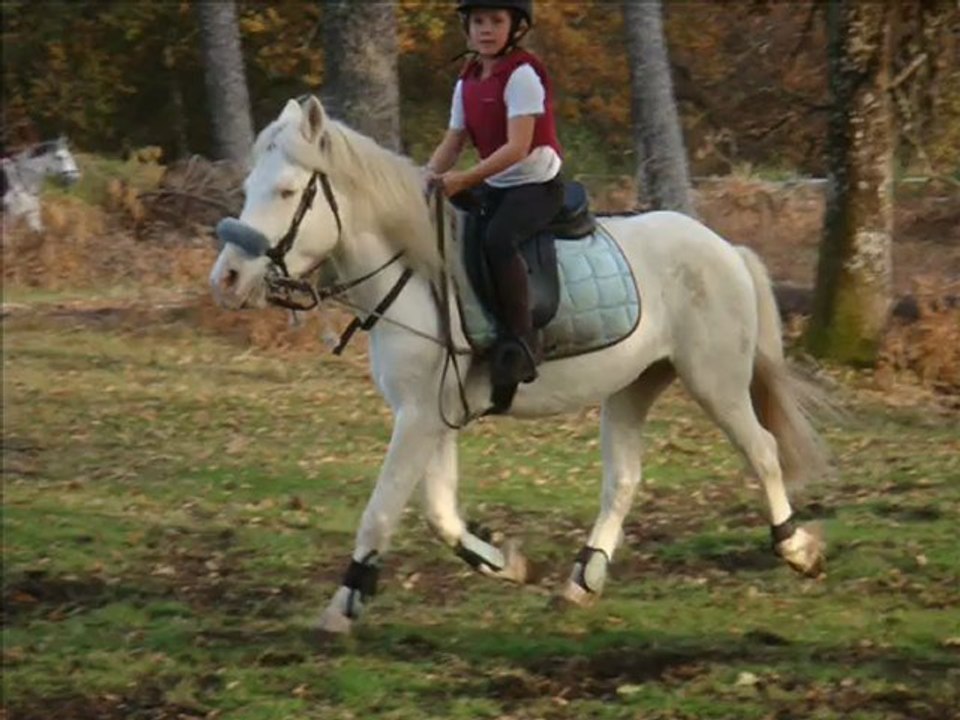 30 Octobre 2009 Edmée et Raphaëllo en séance de cross