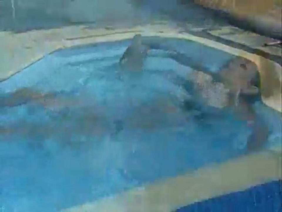 CORSE PISCINE 8400 PRIVILEGE