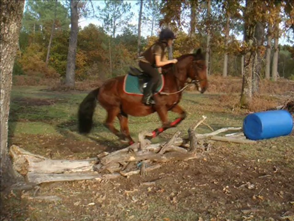 30 Octobre 2009 Inès et Isidore en séance de cross