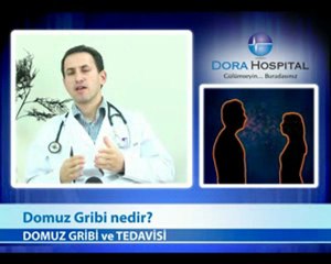 Domuz Gribi Nedir?
