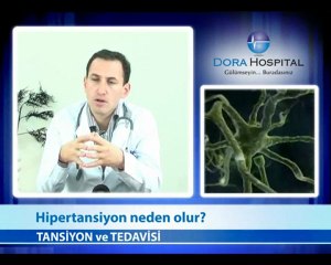 Hipertansiyon Neden Olur?