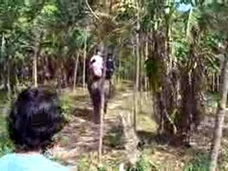Trekking à Koh Lanta