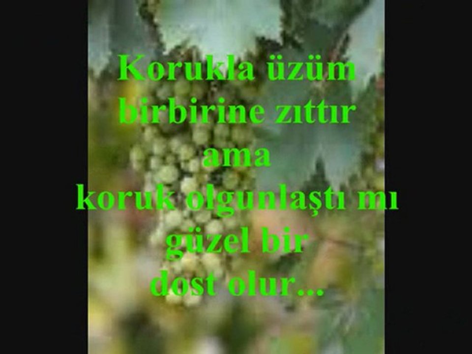 MEVLANA'DAN SÖZLER