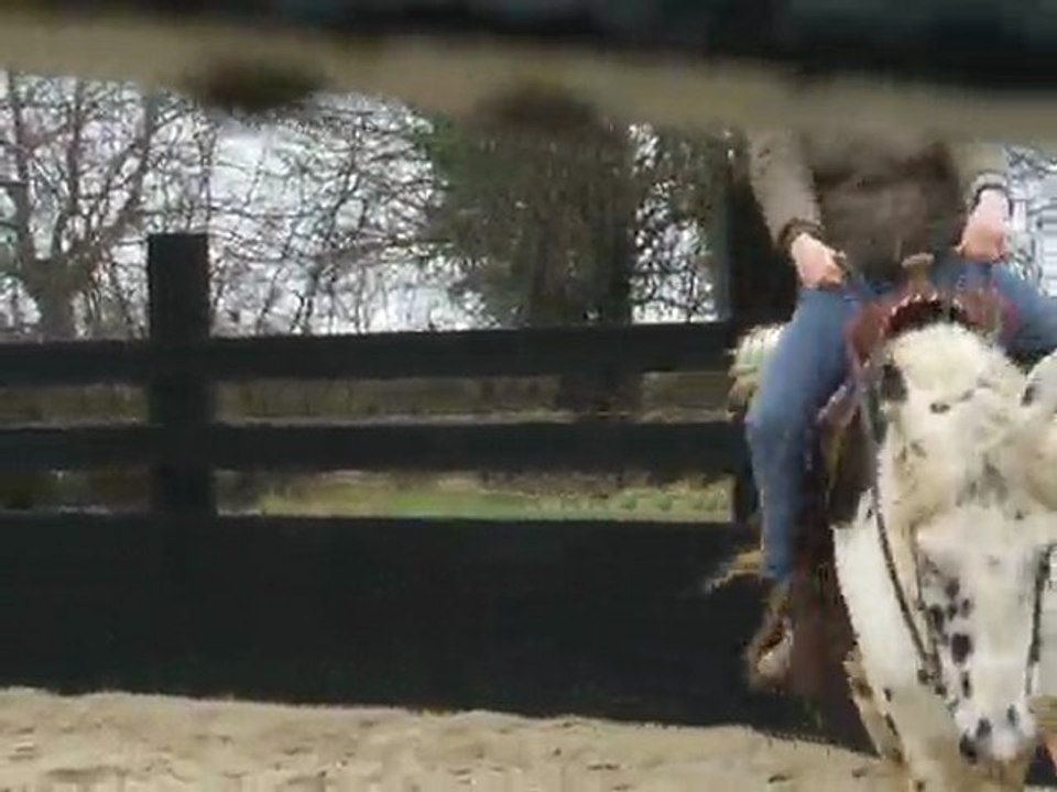 Sauk décembre 2009 au travail aux écuries Burryfarm (35)