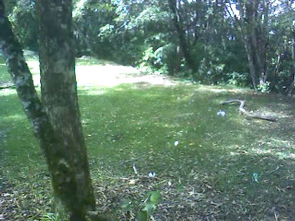 AFUERAS EL JUNKITO RECUERDOS IUTI 31 DIC 09