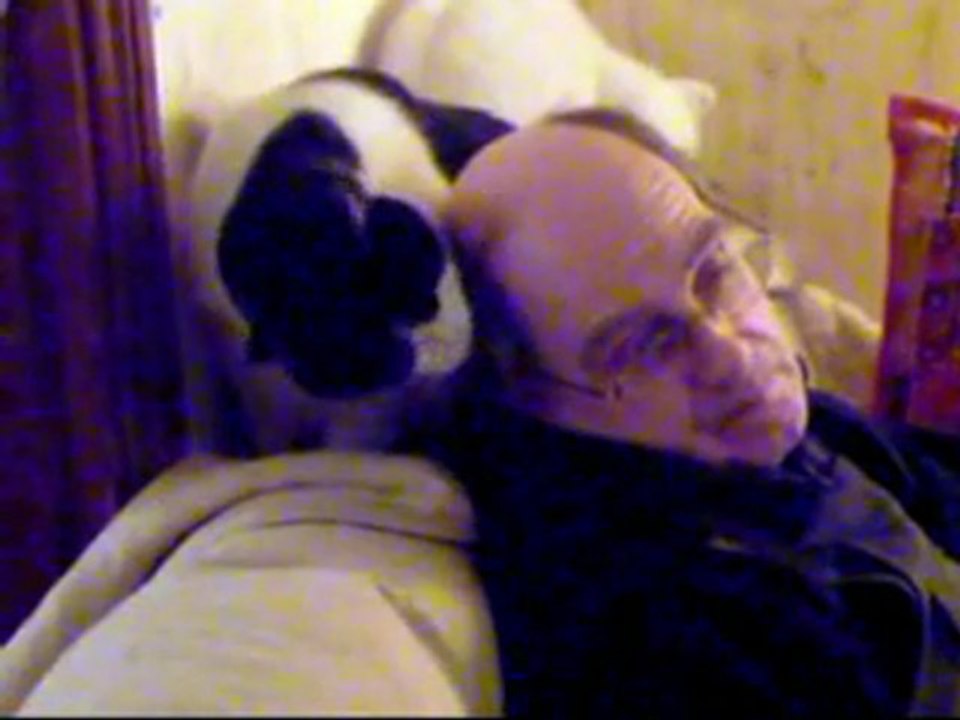 gag-le chat-coiffeur/ The cat-hairdresser gag