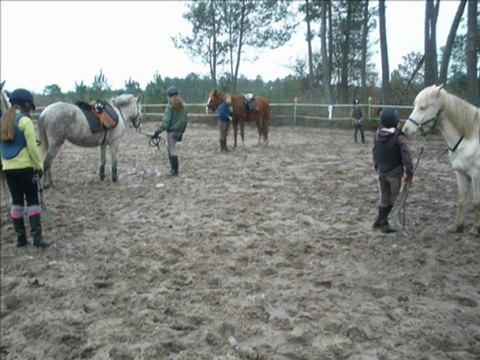 26 Décembre 2009 ''éthologie''.