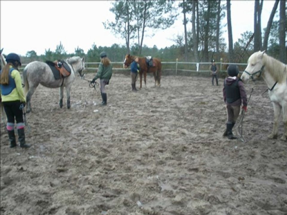 26 Décembre 2009 ''éthologie''.