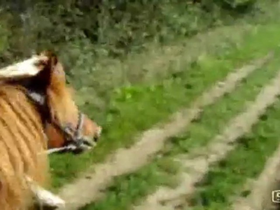 Samedi 17 octobre balade