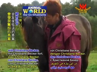 Christiane Becker: Insights of a German Telepathic Animal C