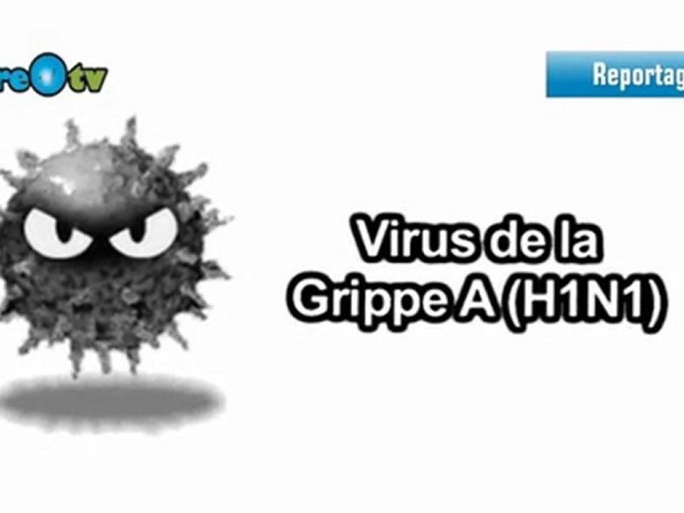Le vaccin contre la grippe A(H1N1)