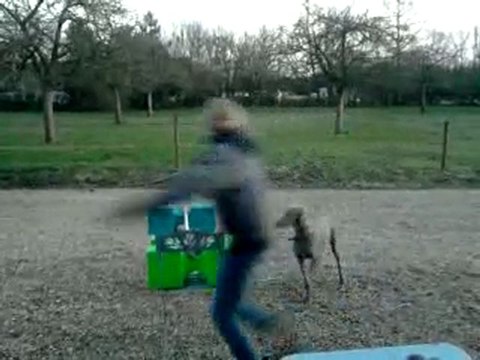 Eos saute a peu près 70 cm a l'arret