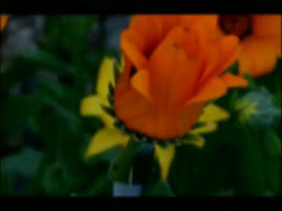 mamzel-mosieur