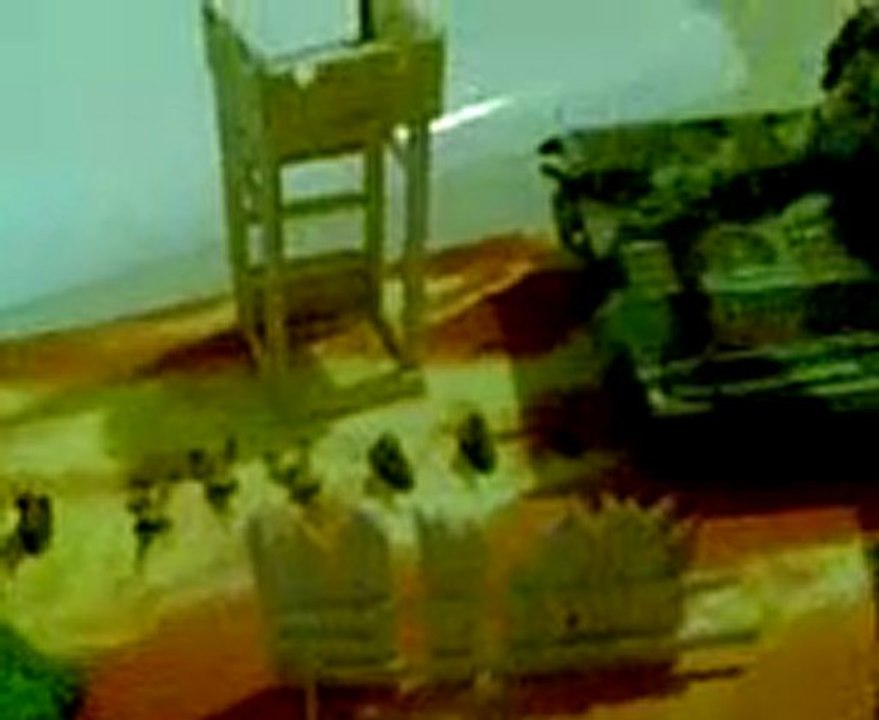 le commando du salut 02.3 Tale to a long periple (chast)