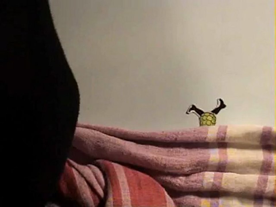 Film d'atelier - Atelier adultes MPT Rancy - "Décrocher la lune" (2010)