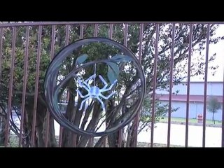 Deanna Brochin @ Spiderwood Studios - Infynit Hour