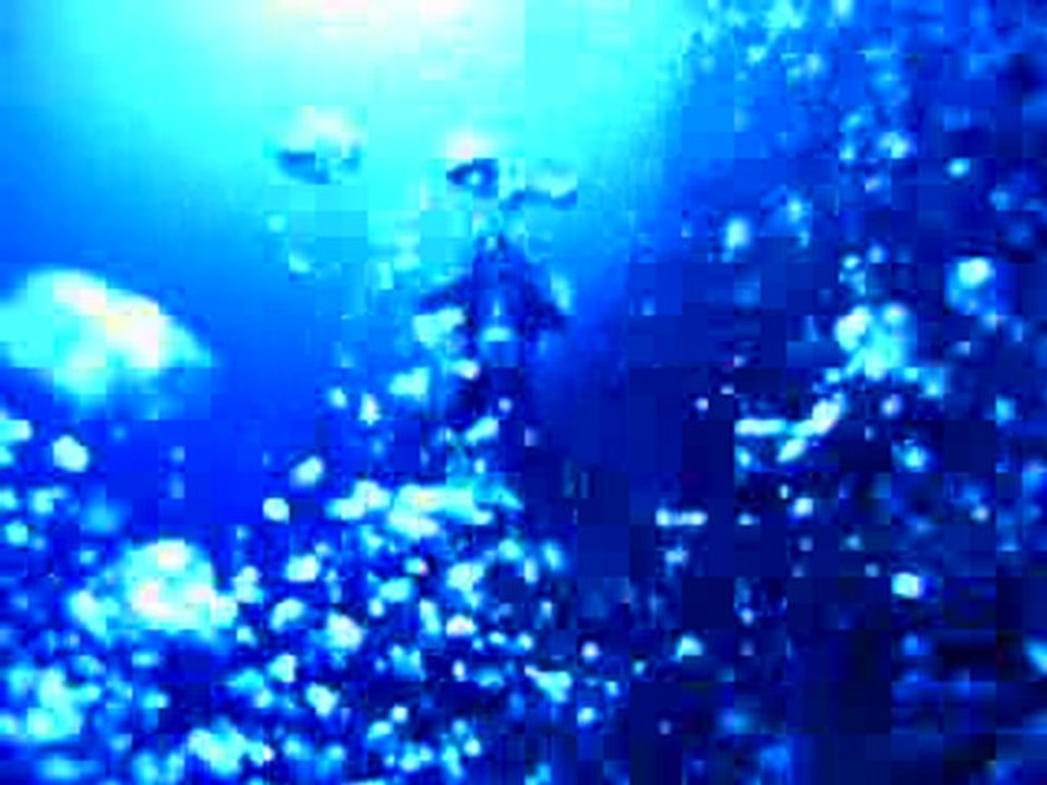 Diving in Elphinston Egypt