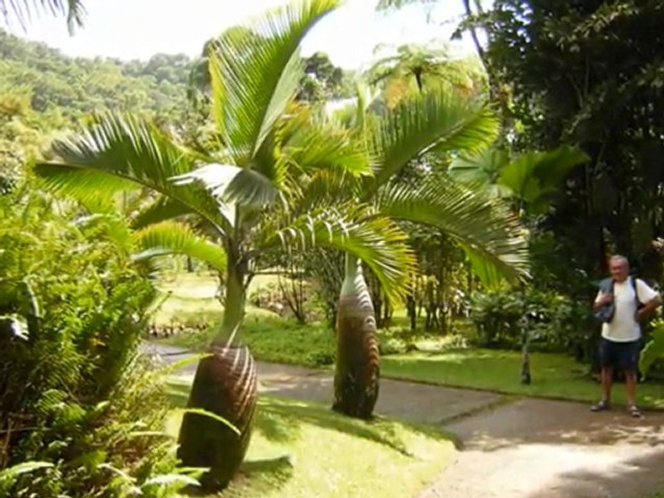 voyage Neos 2- travel catamaran Neos part 2