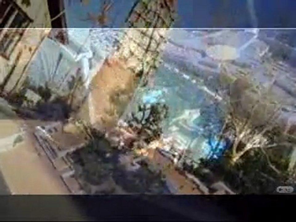 everything feat nutrient realities