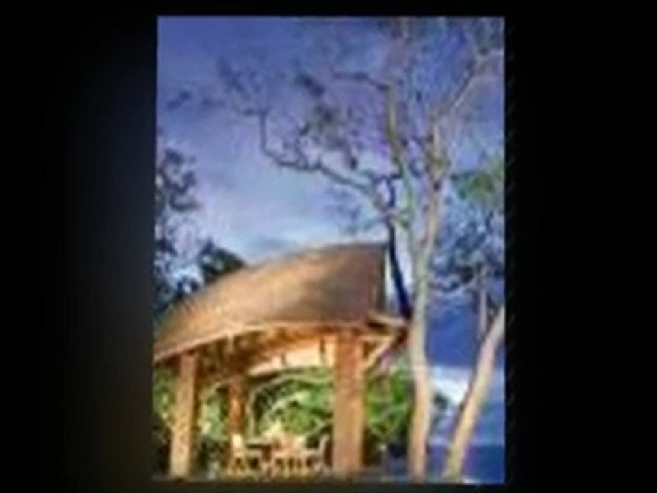 Achieving Financial Freedom Working From Home Marketing Inco