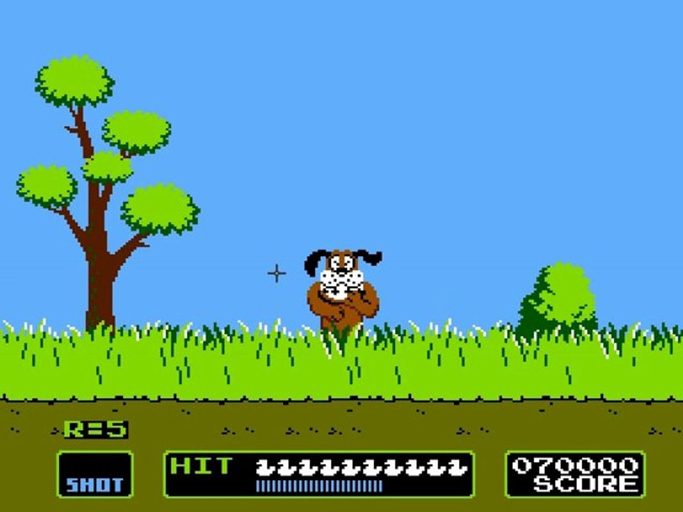 Test de Duck Hunt ( Nes )