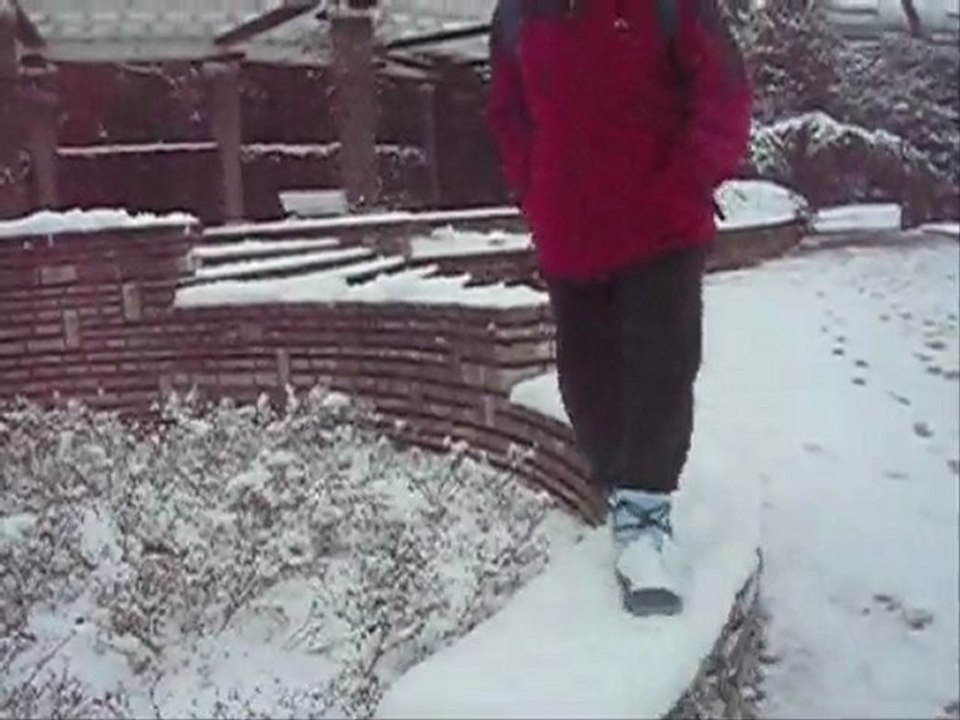 La neige au parc de la Tête d'Or à Lyon