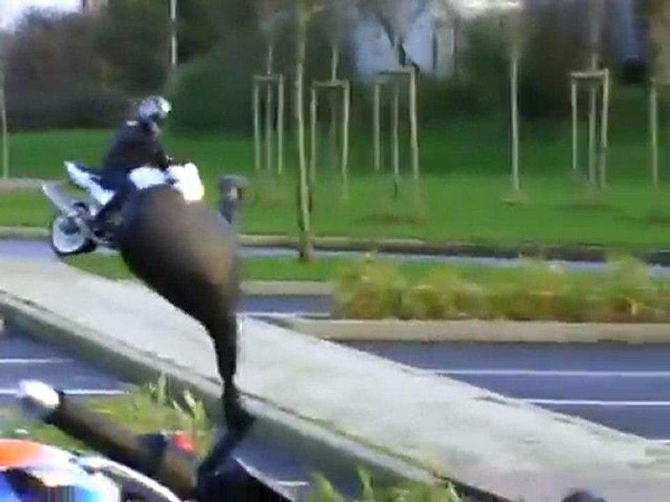 CLIP0003