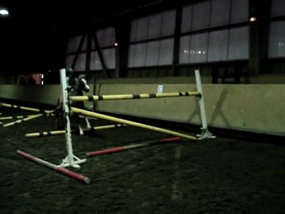 Poney D 10 ans saute une ligne (EQUIRODI.COM)