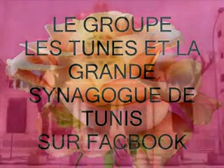 BONNE ANNEE 2010 PAR FREDDY GALULA