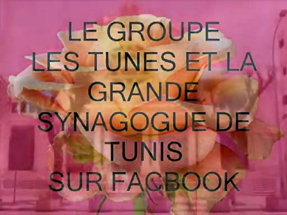 BONNE ANNEE 2010 PAR FREDDY GALULA