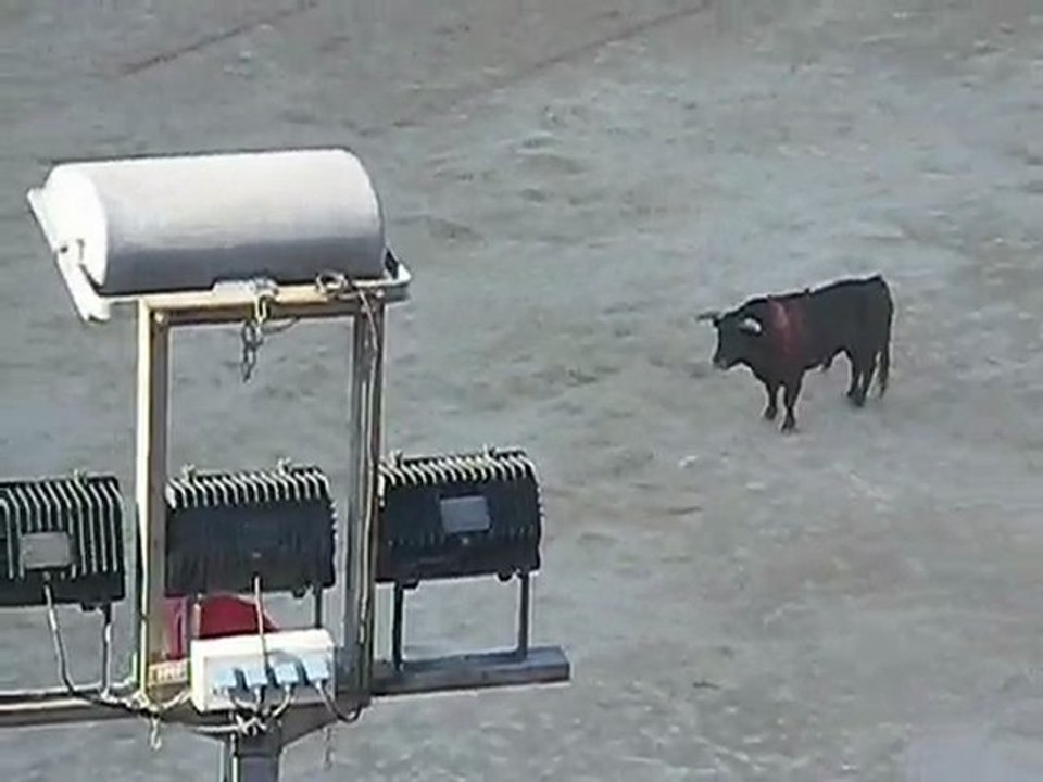 josé tomas @ nimes part 2