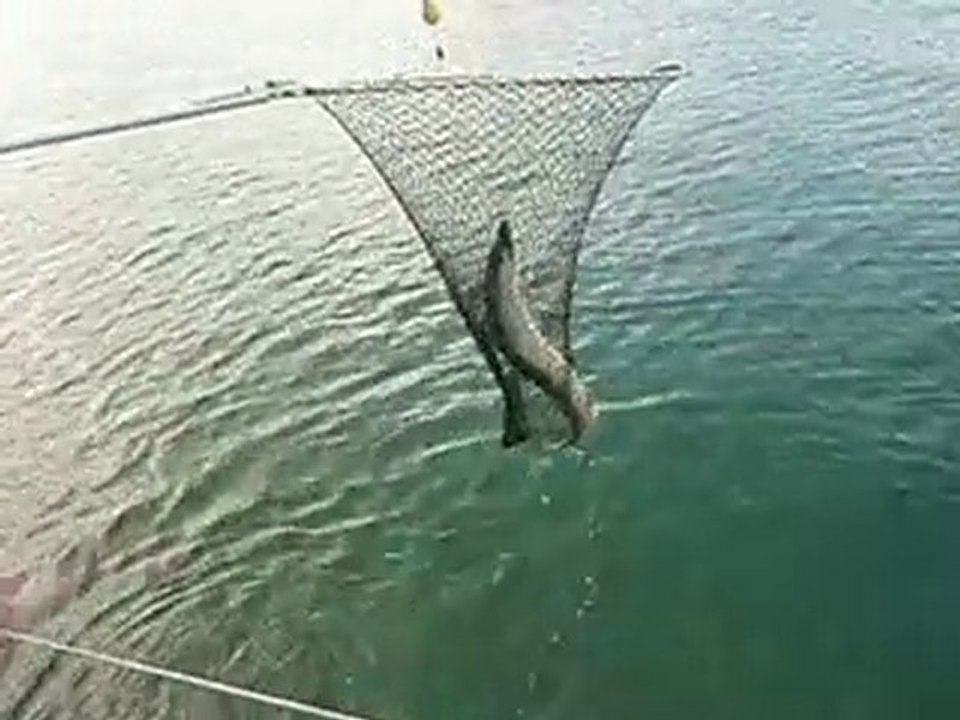 Pêche au Lac Du Bourget