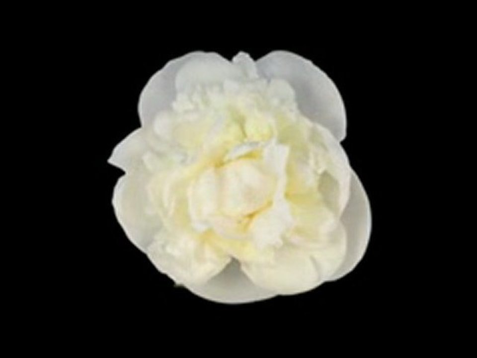 VardaEventswebsite