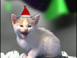 Christmas cats- Noel des chats  qui chantent