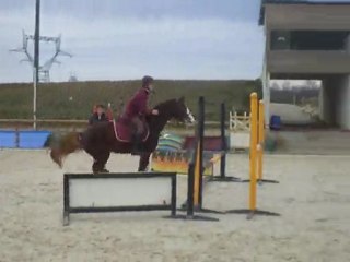 Mc Nish  oxer carierre