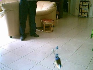 deuxième vol easycopter XS