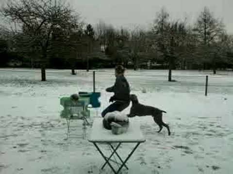 Eos saute a peu près 90cm