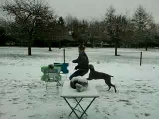 Eos saute a peu près 90cm