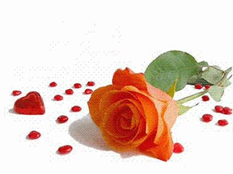 Çiçek kadar güzel sevdiğim