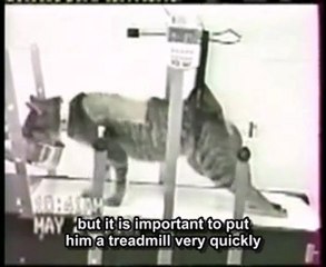 Presentation by Dr. Woerly, Neurogel inventor, Canadian TV