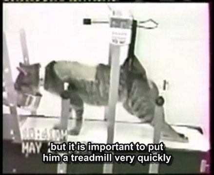 Presentation by Dr. Woerly, Neurogel inventor, Canadian TV