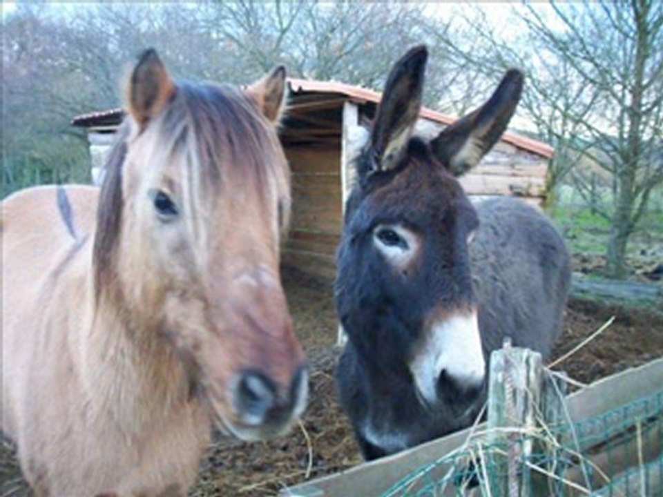 La Ferme Pédagogique