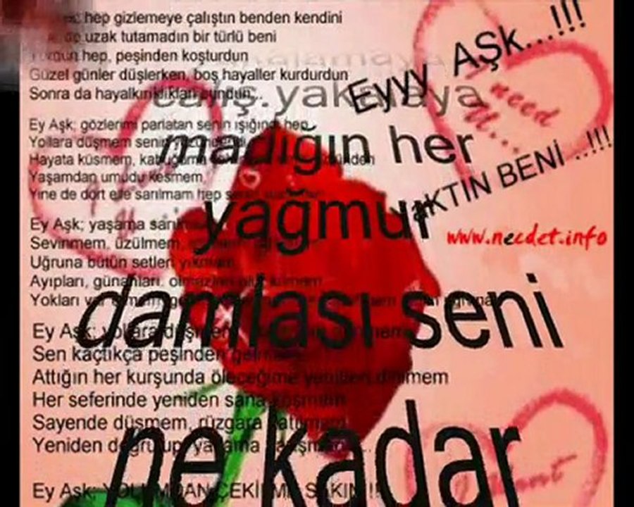 sevda'nın böylesi