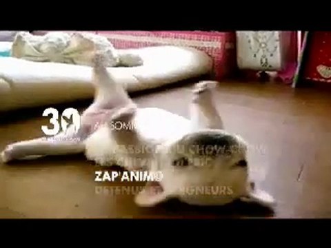 sommaire émission 30 millions d'amis du 10 01 2010