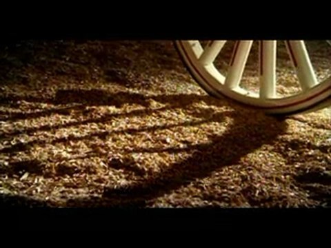 Budweiser_ Clydesdale American Dream