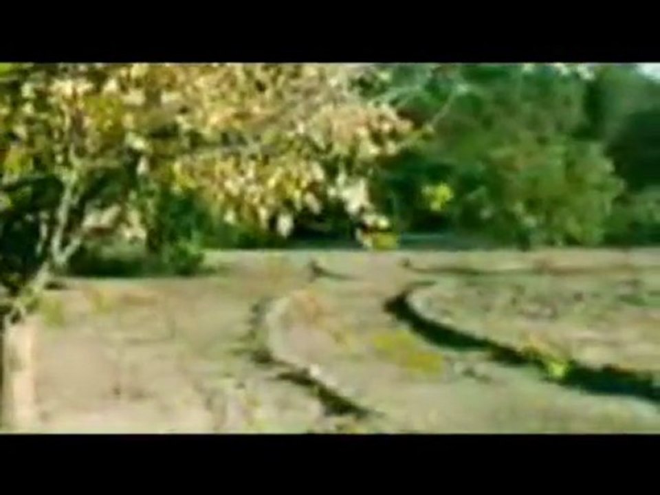 Omar Akram - Dancing with the Wind