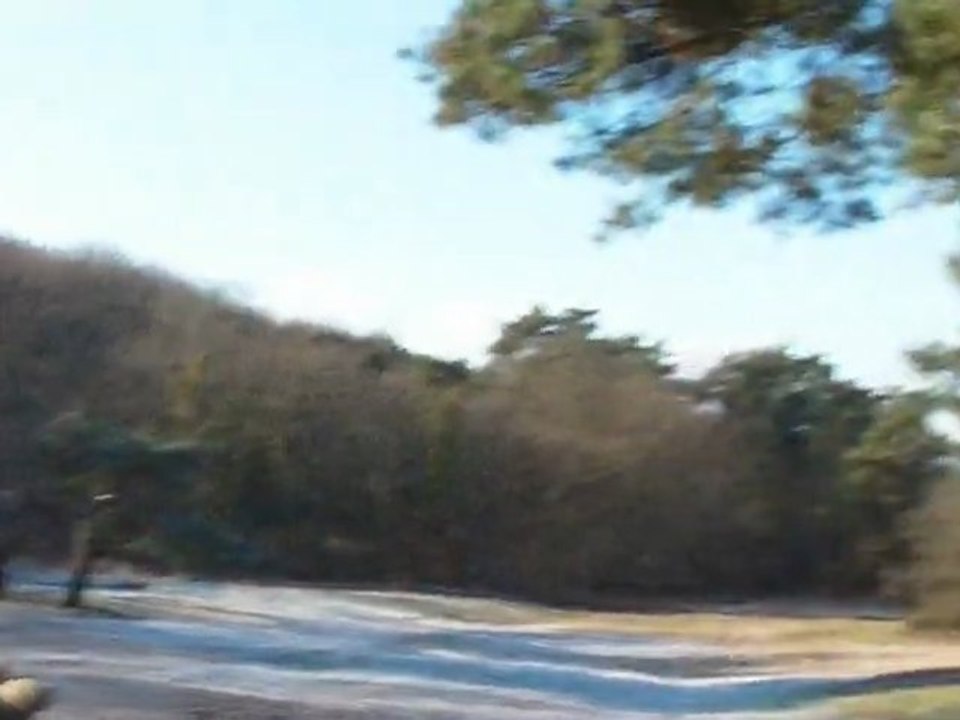 RANDO 03/01/2010