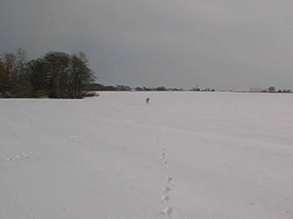buster neige