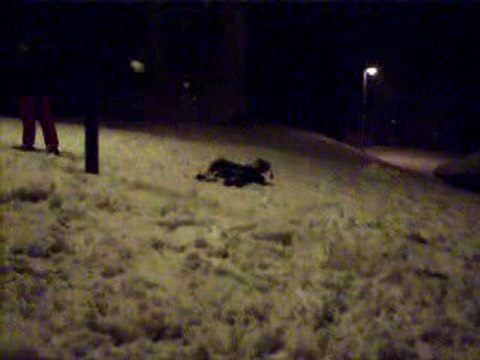 les filles bataille de boules de neige et glissade mdr